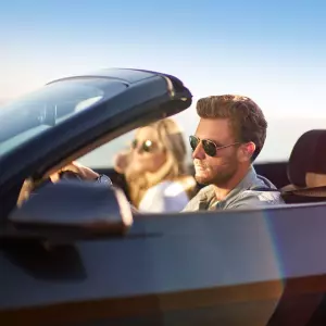 Coupe homme et barbe